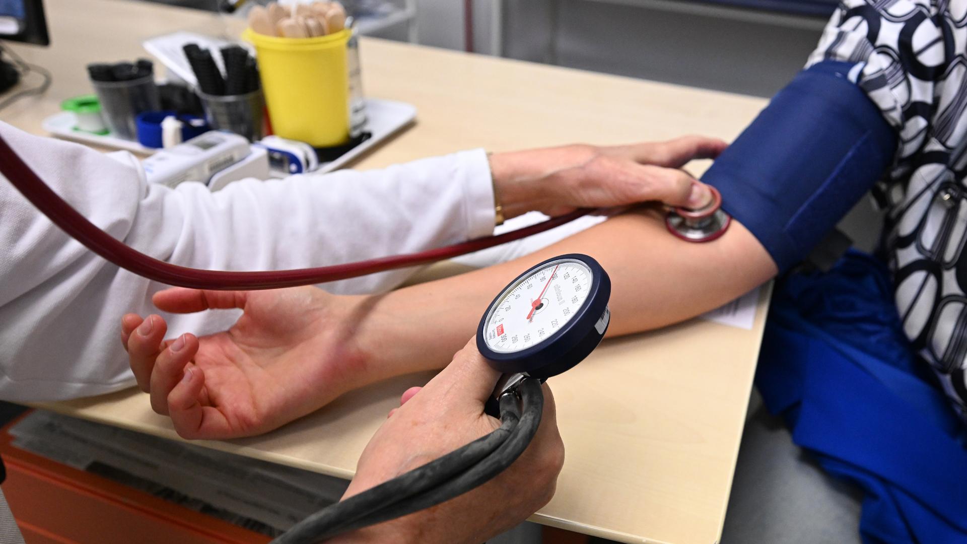 Фото: Bernd WeiÃŸbrod/globallookpress.com