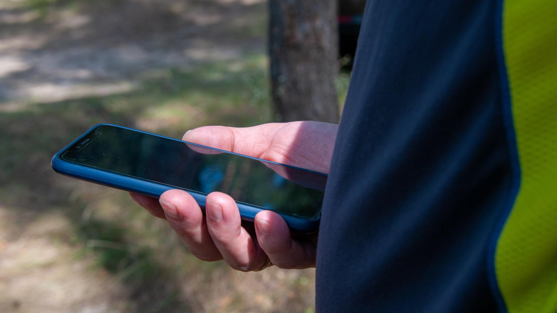 Фото: Svetlana Vozmilova/globallookpress.com