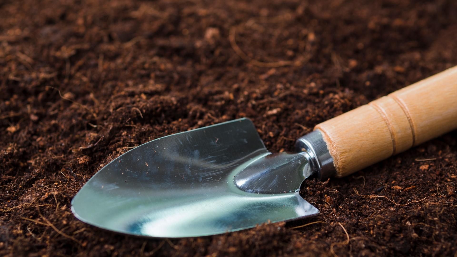 Фото: ru.freepik.com