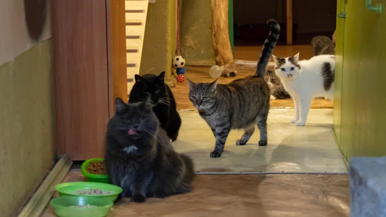 Фото: hermitagemuseum.org