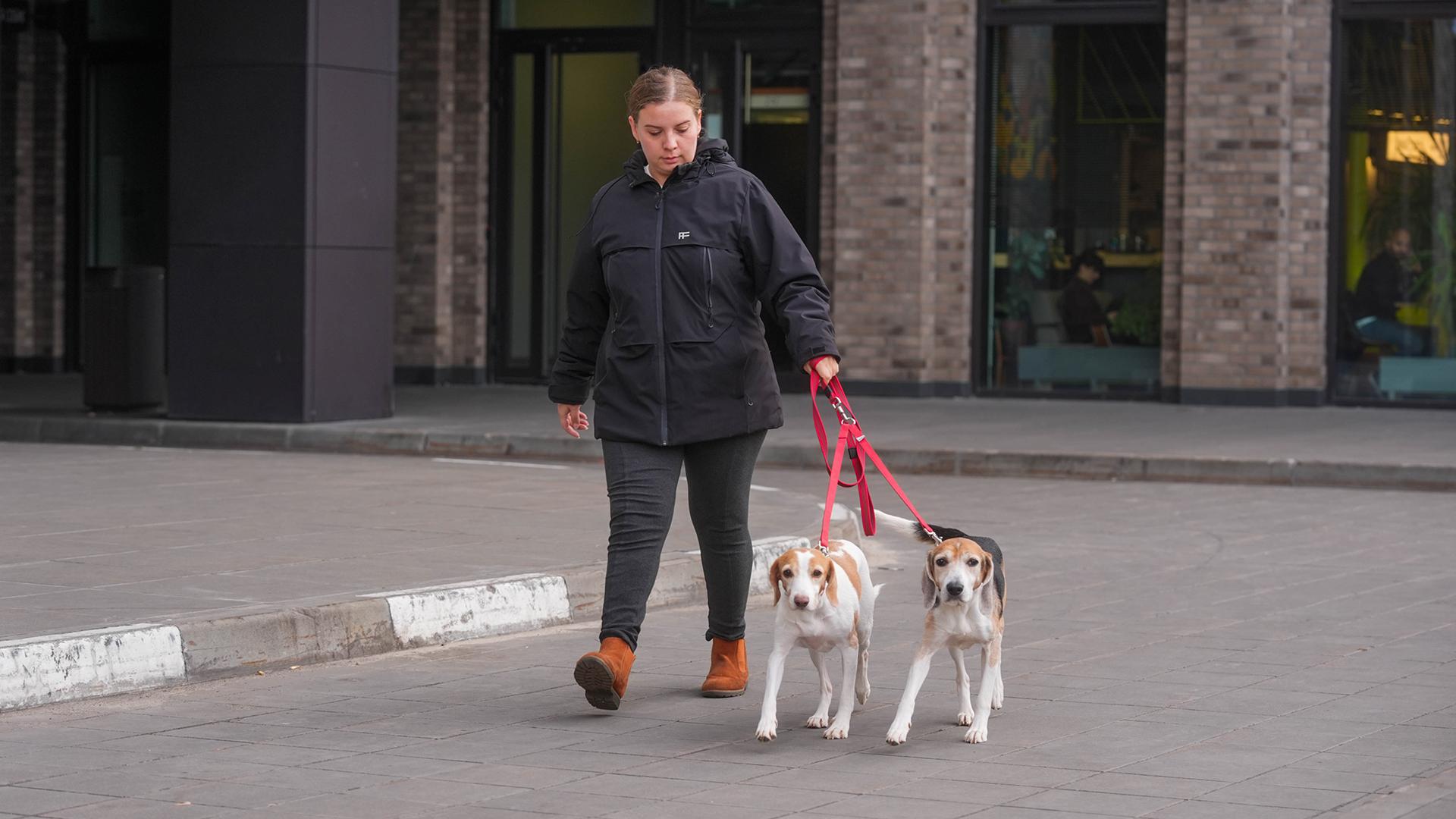 Фото: ИЗВЕСТИЯ/Андрей Эрштрем