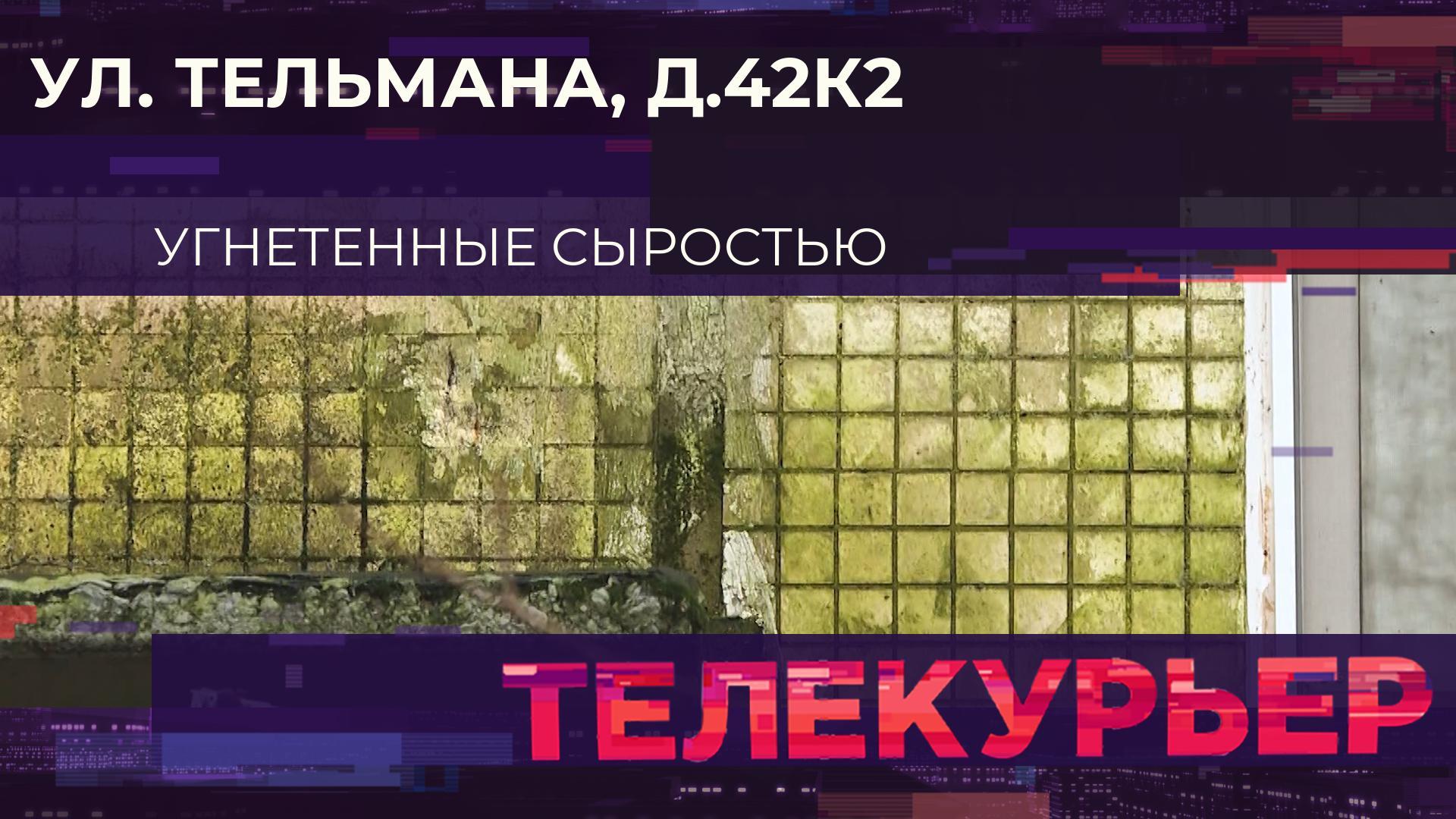 Телекурьер (11 ноября 2025)