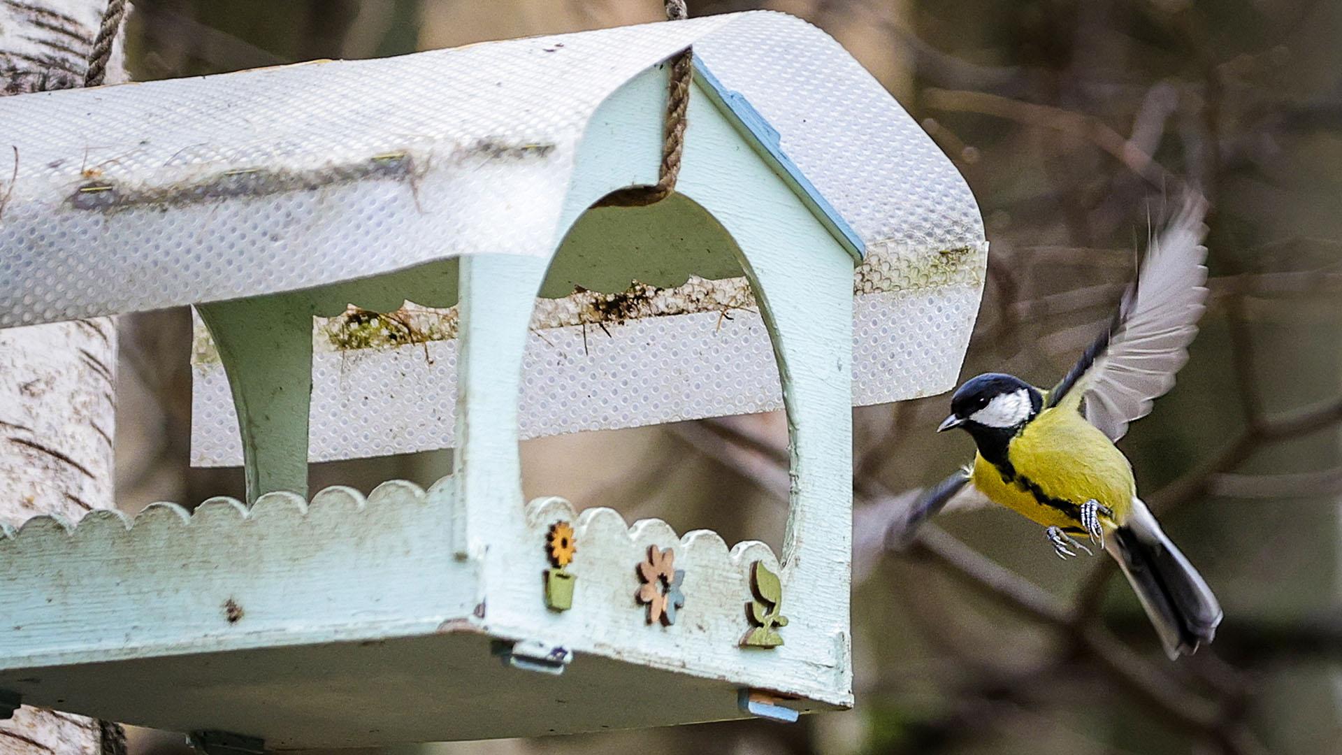 Фото: Roman Naumov/globallookpress.com