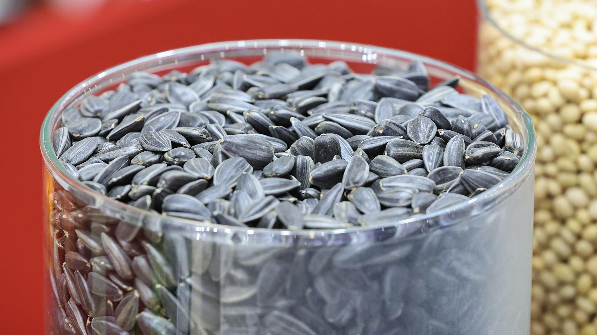 Фото: Belkin Alexey/globallookpresss.com