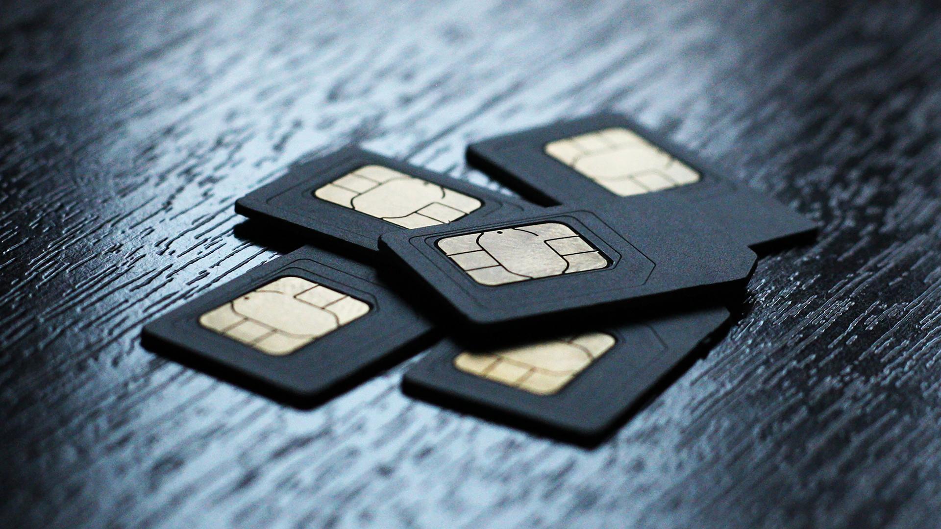 Фото: ИЗВЕСТИЯ/Юлия Майорова