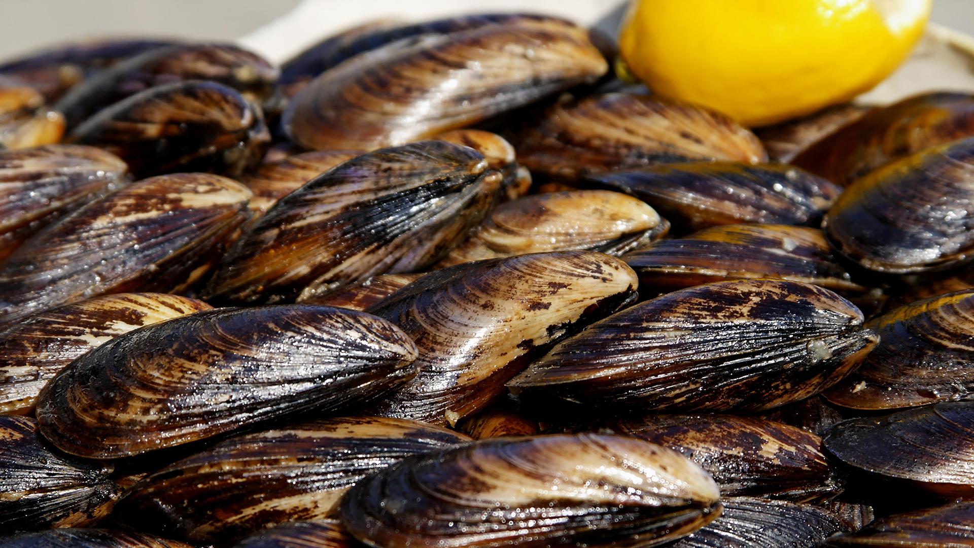 Фото: PhotoGraphX/Eva Bender/globallookpress.com