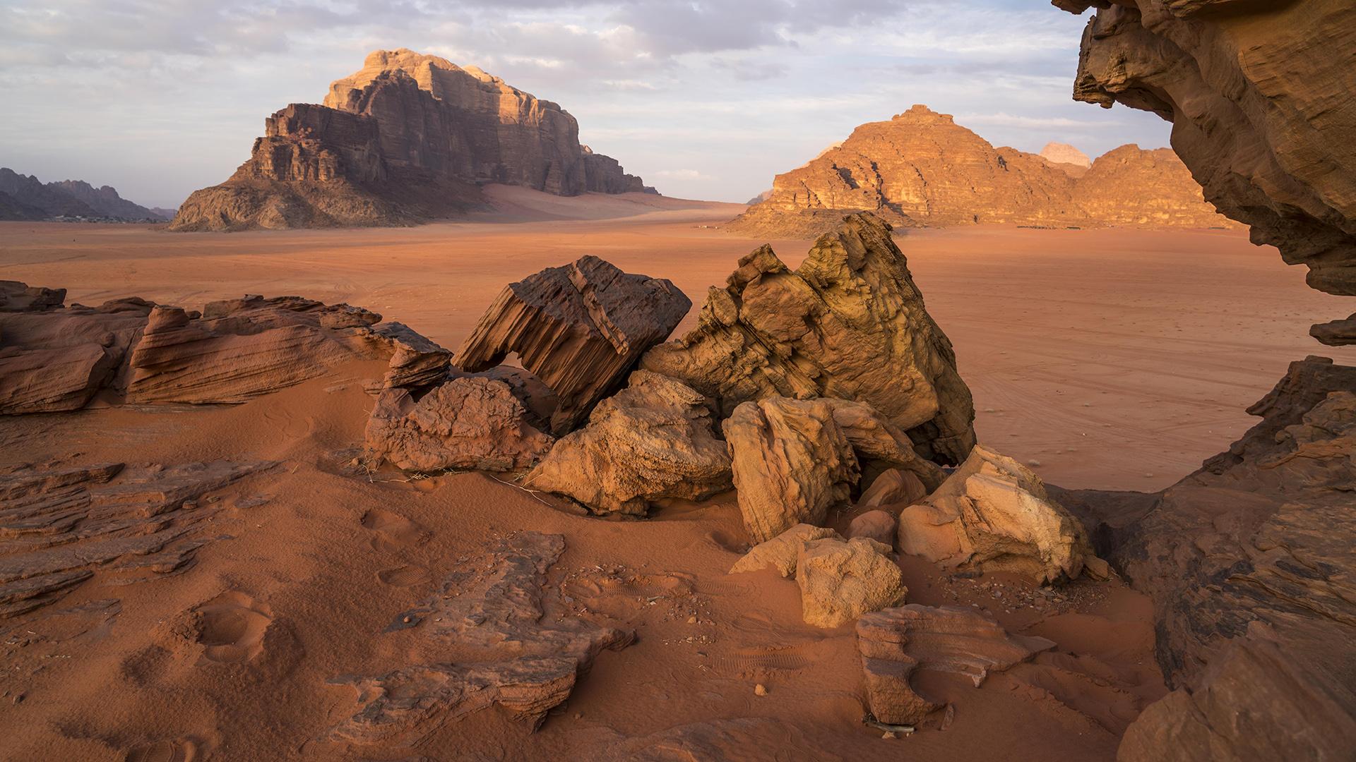 Фото: Peter Schickert/globallookpress.com