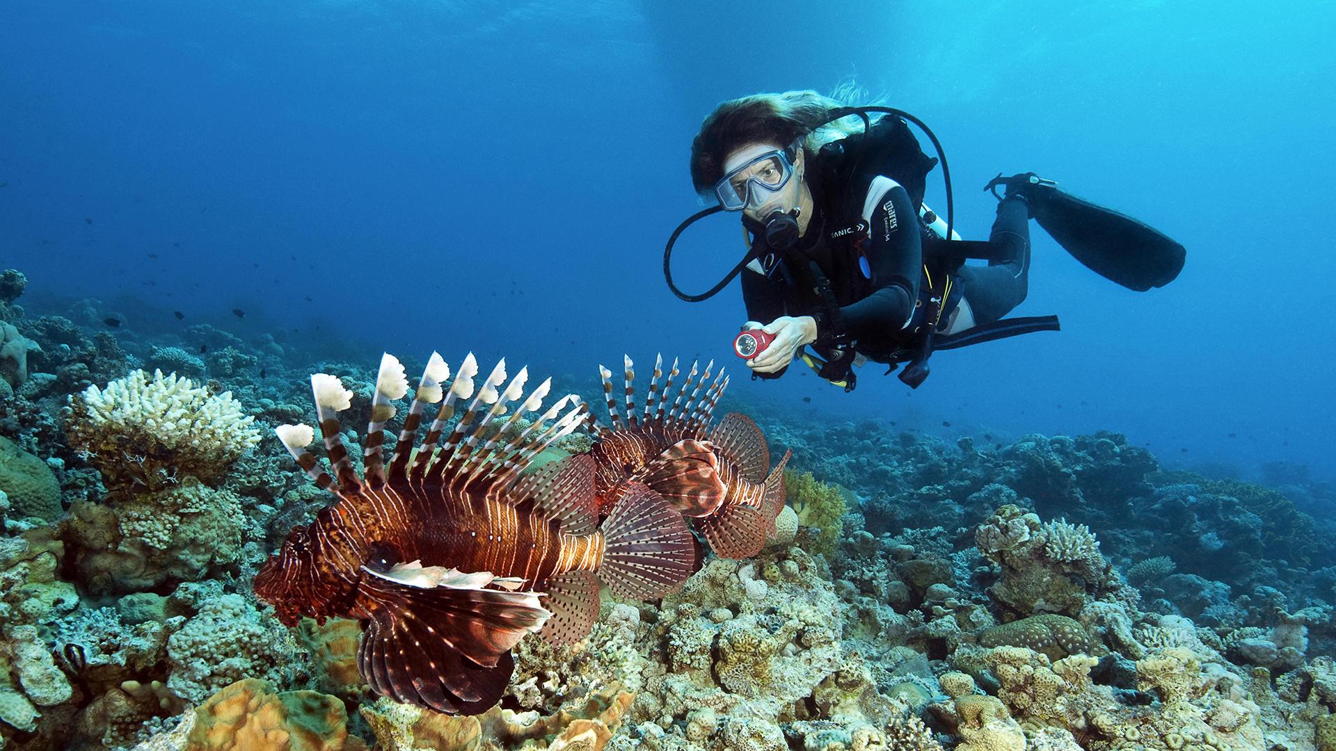 Фото: Frank Schneider/globallookpress.com