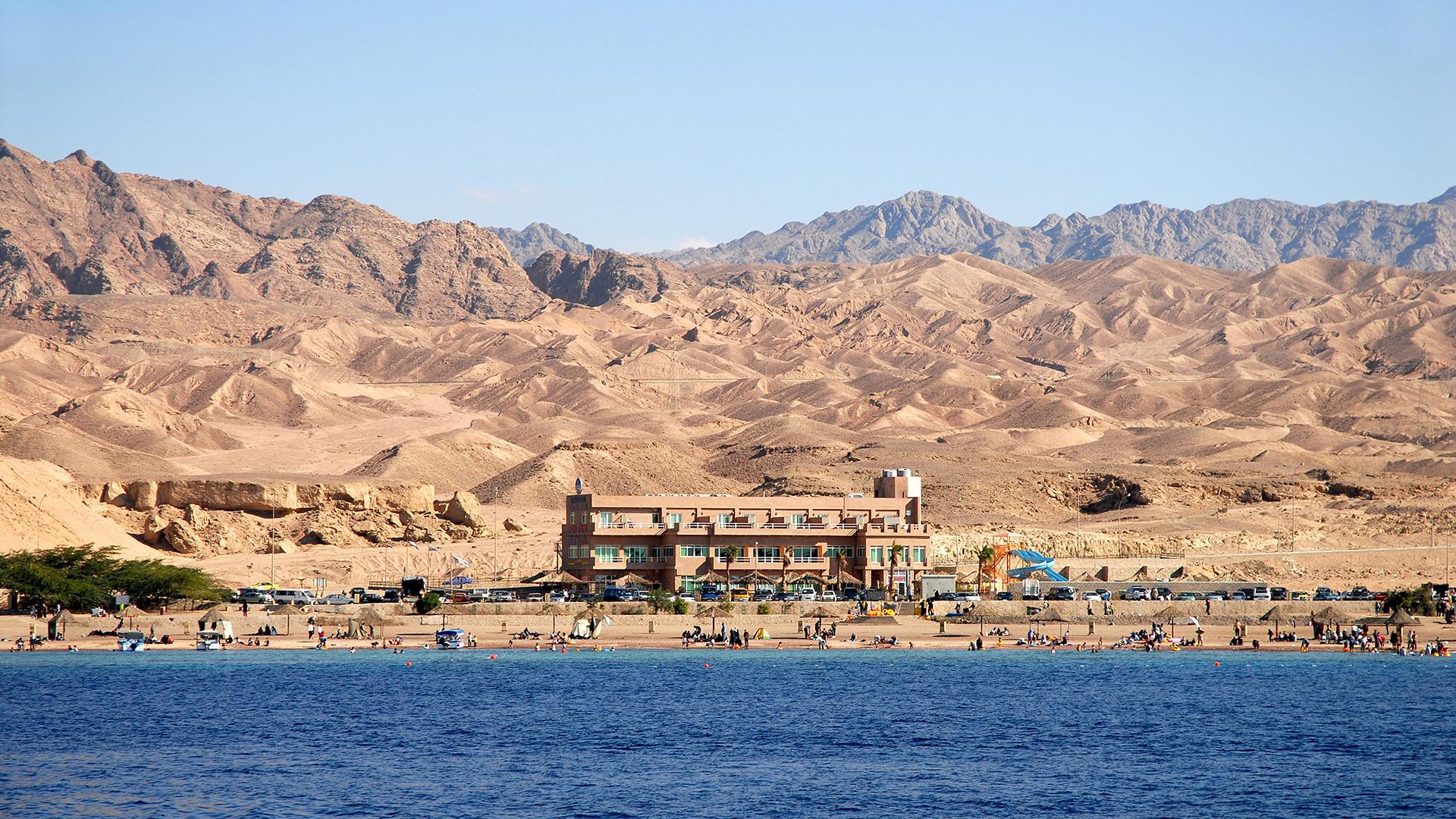 Фото: Joachim Hiltmann/globallookpress.com