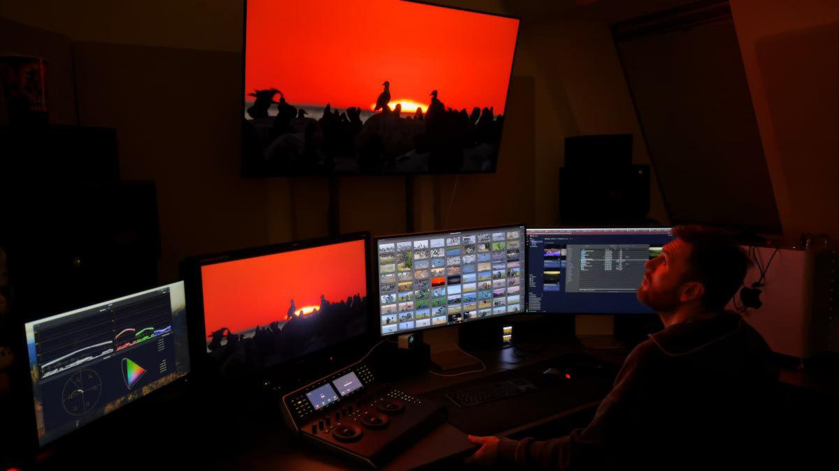 Фото: пресс-служба киностудии «Природа»