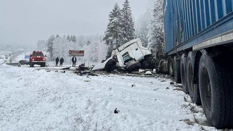 Фото: t.me/kareliaproc