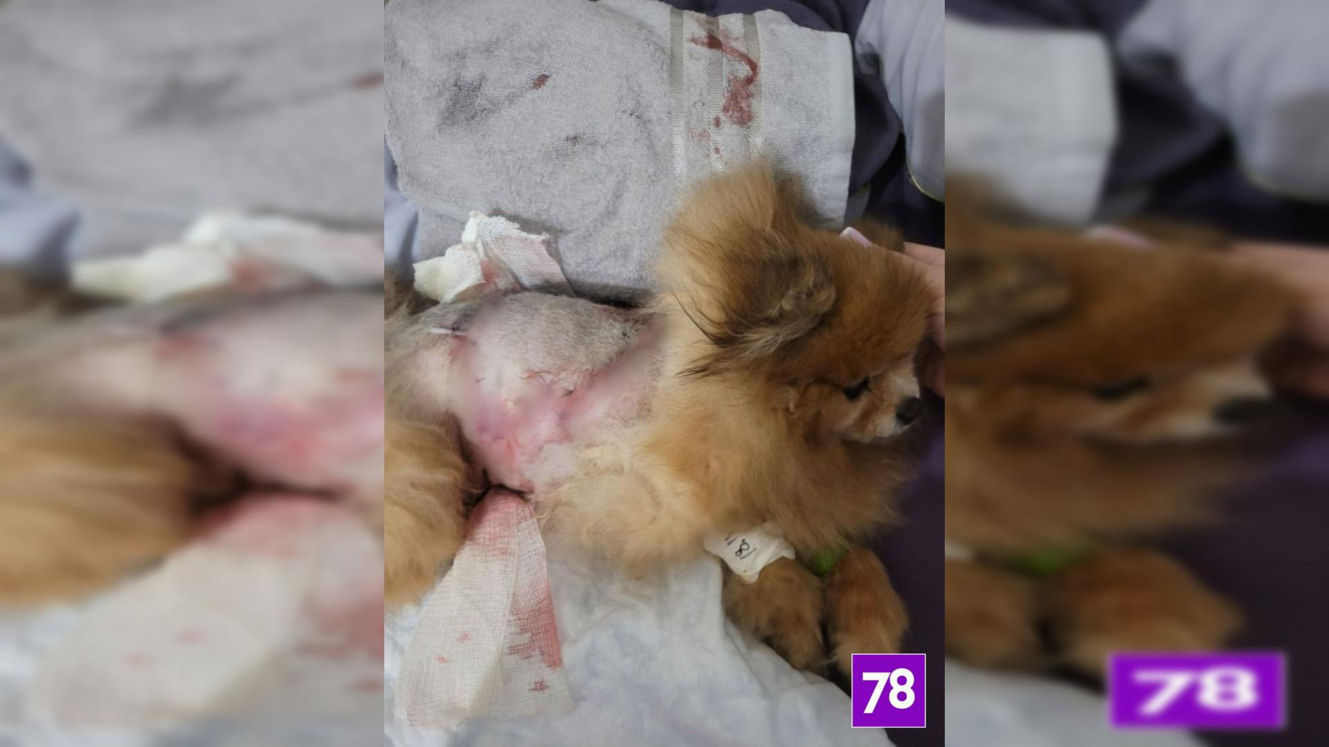 Фото: соцсети