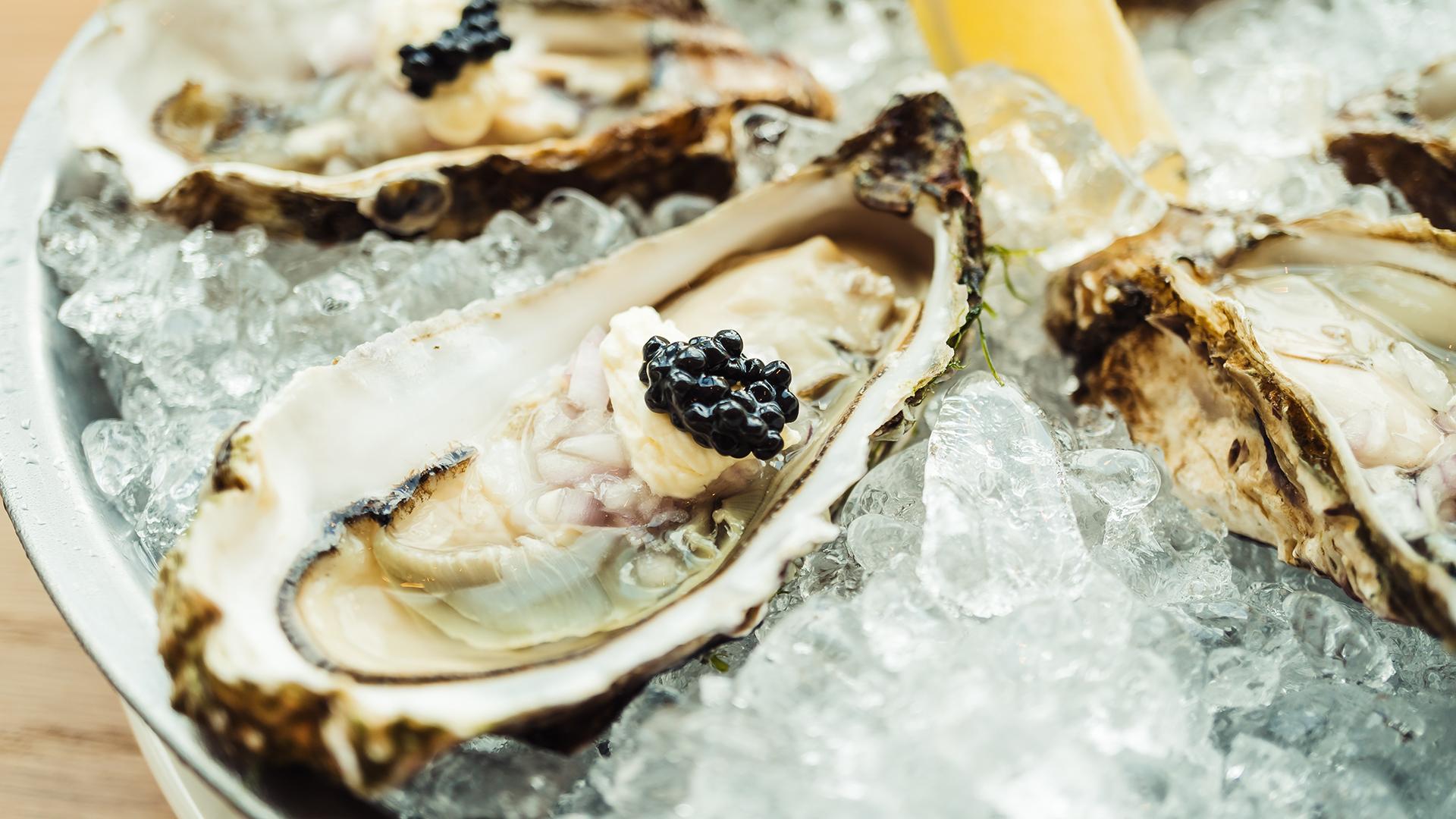 Фото: freepik.com/lifeforstock