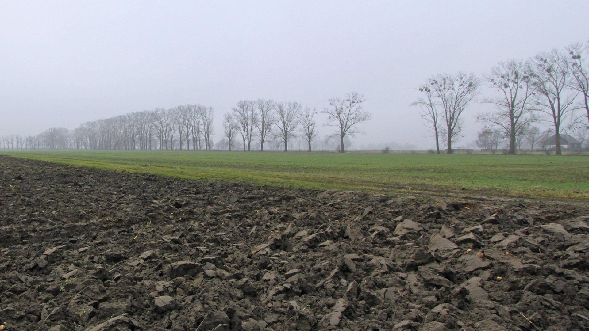 Фото: F8-DASBILD/globallookpress.com