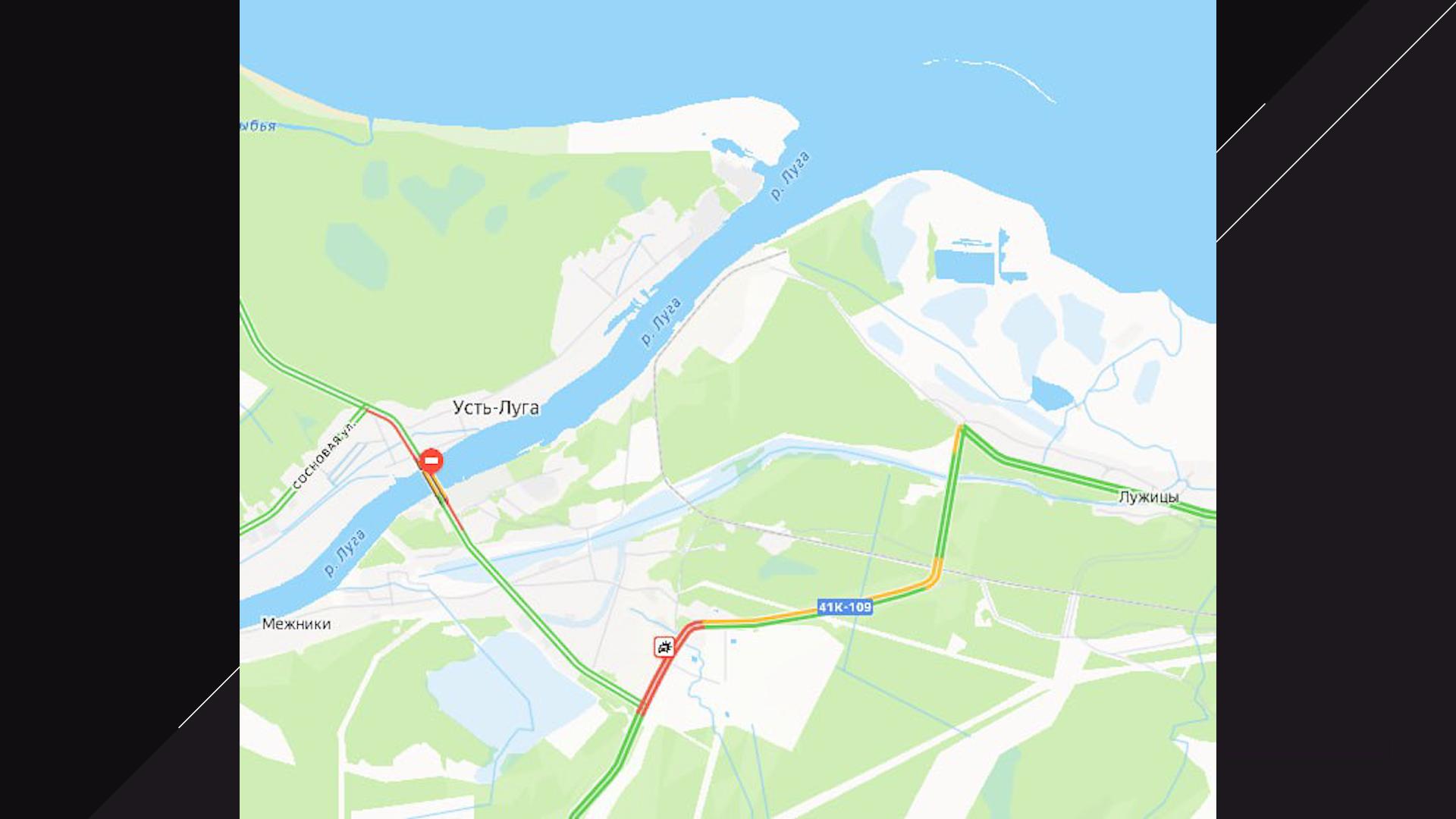 Фото: соцсети