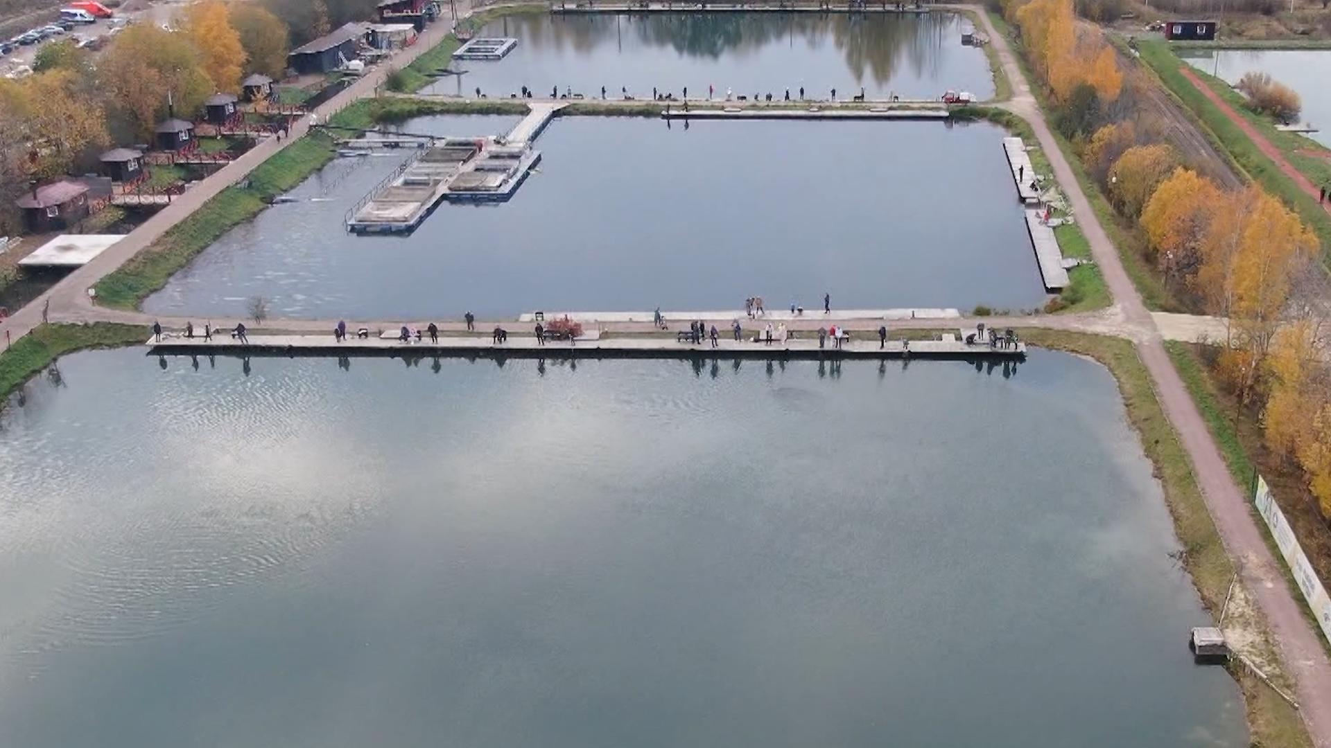 Отдыхаем дома (23 ноября 2025)