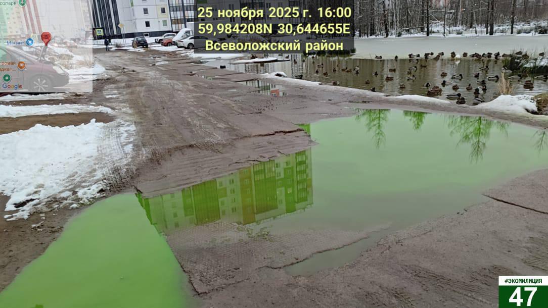 Фото: пресс-служба Комитета государственного экологического надзора Ленинградской области