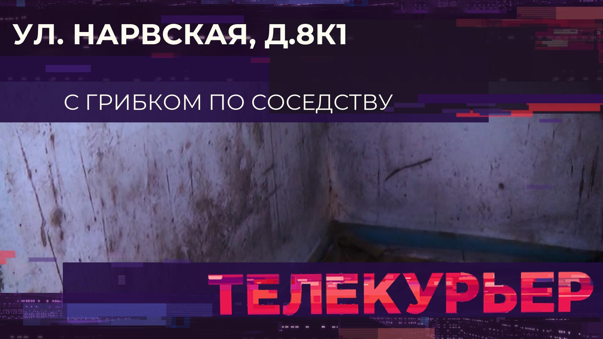 Телекурьер (5 ноября 2025)