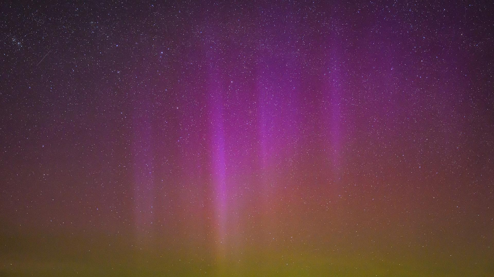 Фото: Patrick Pleul/globallookpress.com