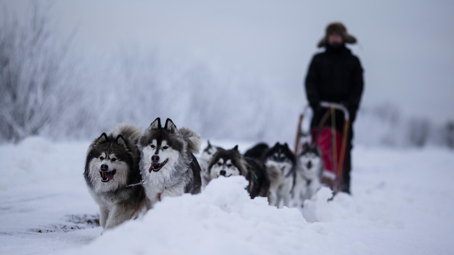 Фото: Alexander Prautzsch/globallookpress.com