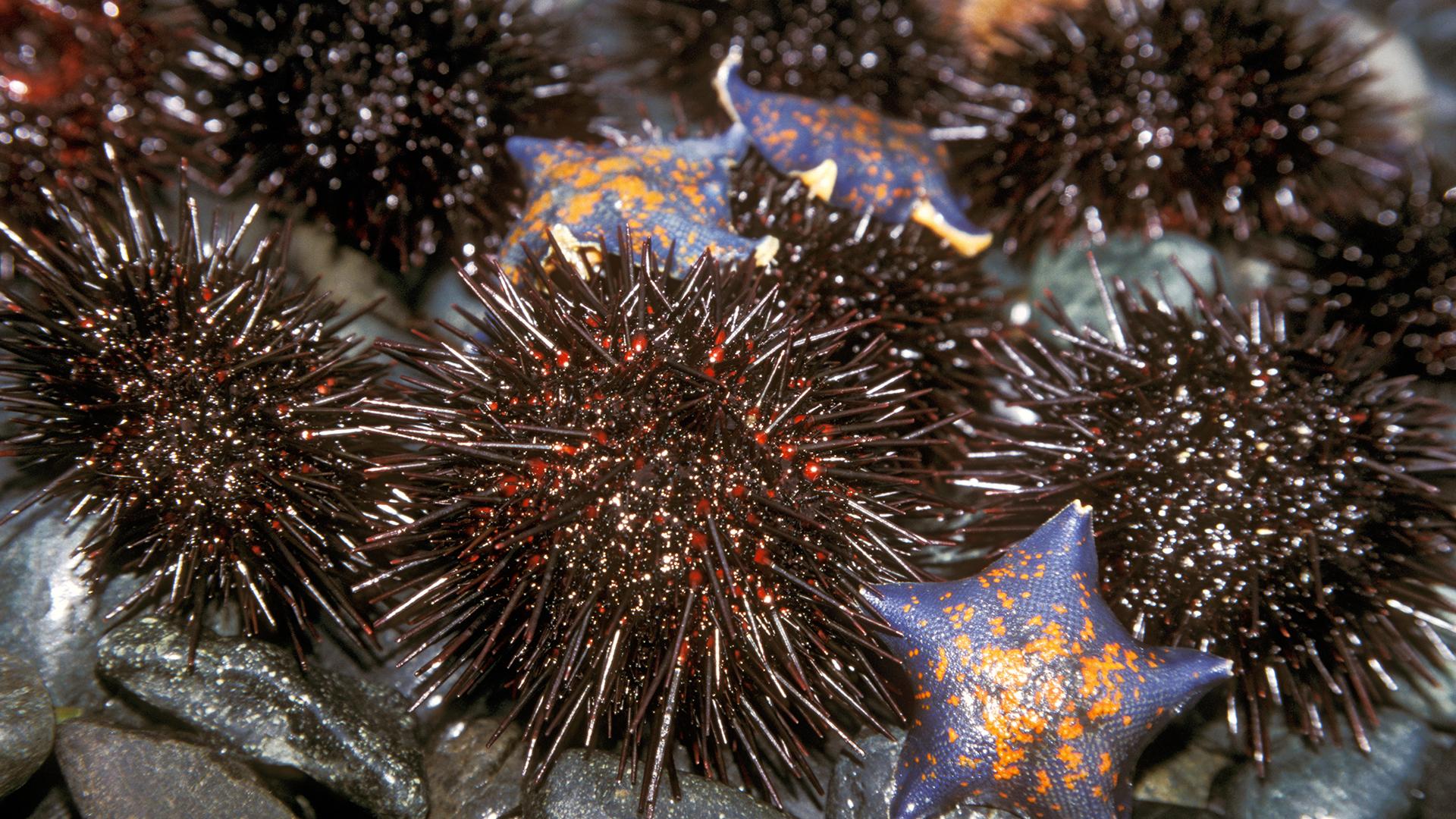 Фото: Konstantin Mikhailov/globallookpress.com