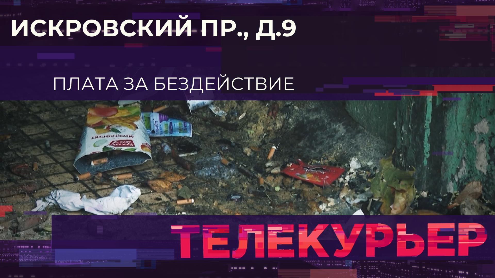 Телекурьер (6 ноября 2025)