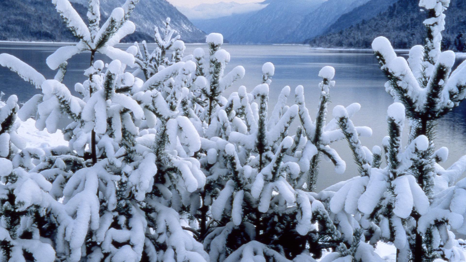 Фото: Konstantin Mikhailov/globallookpress.com