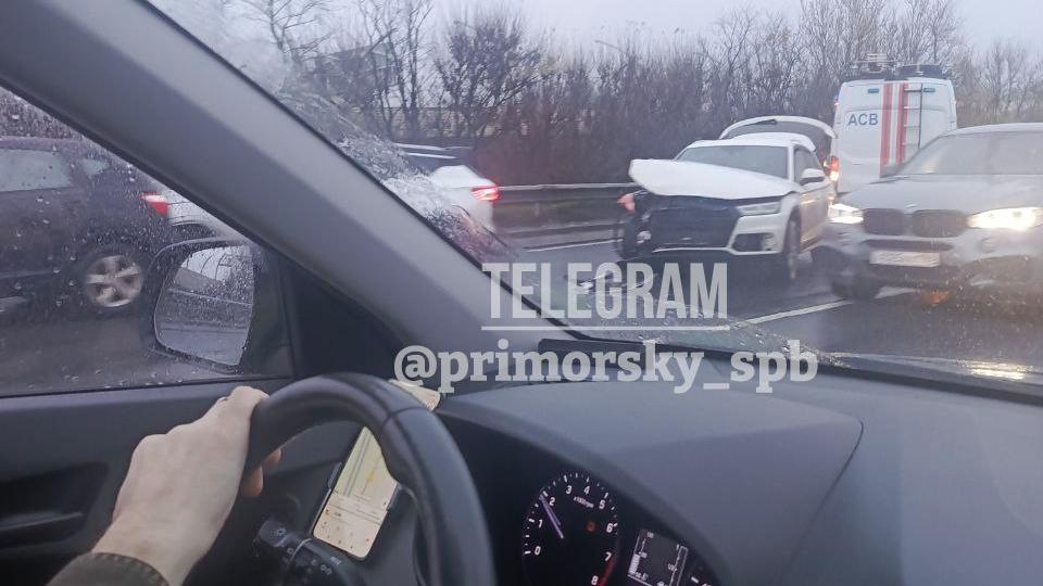 Фото: t.me/primorsky_spb