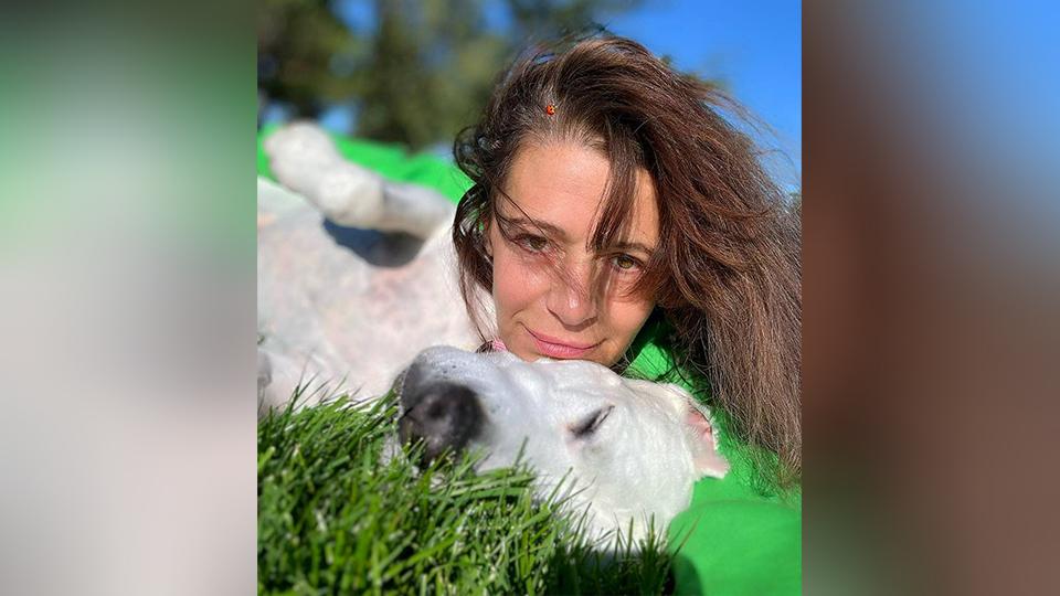 Фото: t.me/Fanderafandera