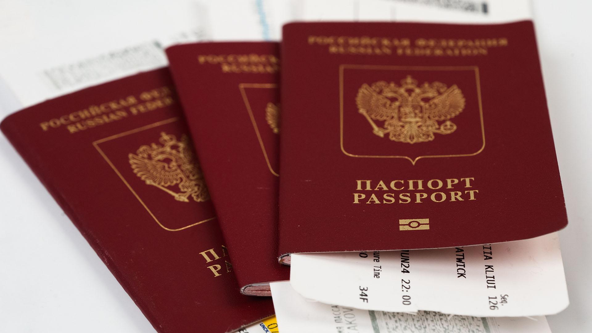 Фото: ИЗВЕСТИЯ/Телеканал «78»