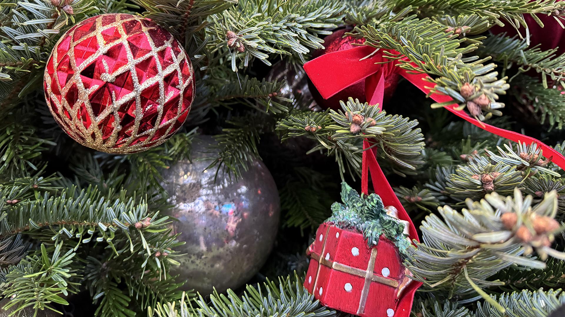 Фото: Alexander Legky/globallookpress.com