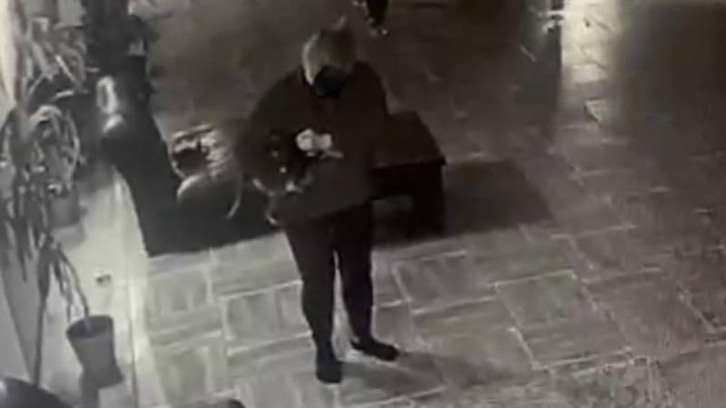 Фото: vk.com/Uliana Ohana