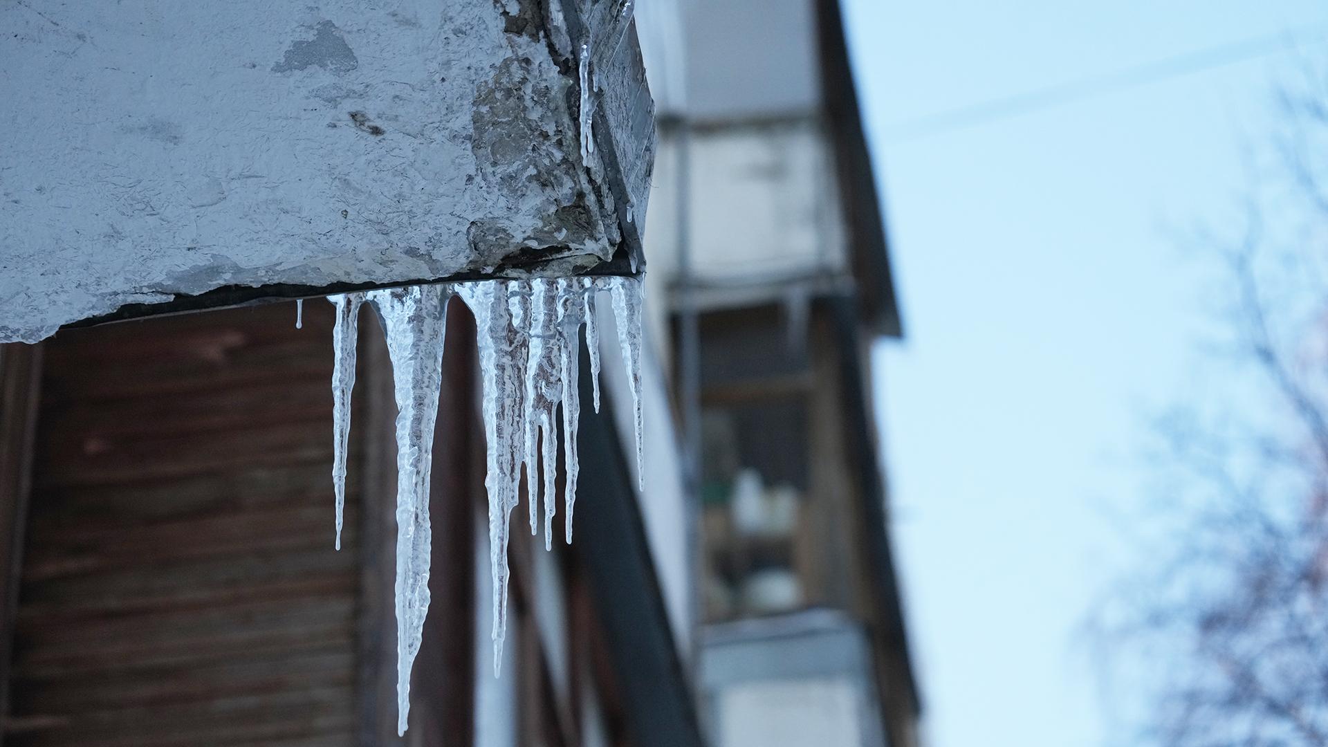 Фото: ИЗВЕСТИЯ/Дмитрий Коротаев