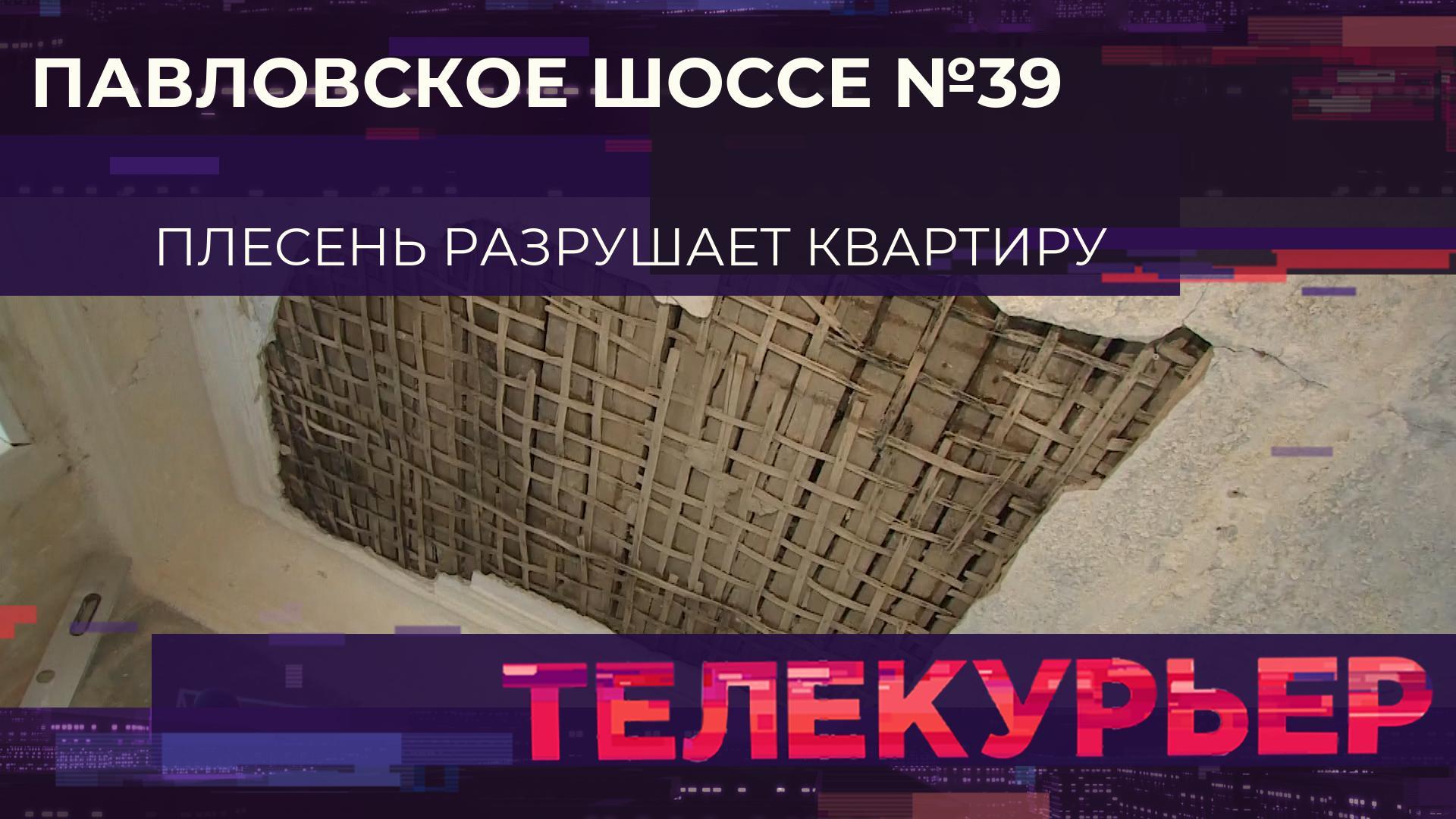 Телекурьер (18 декабря 2025)