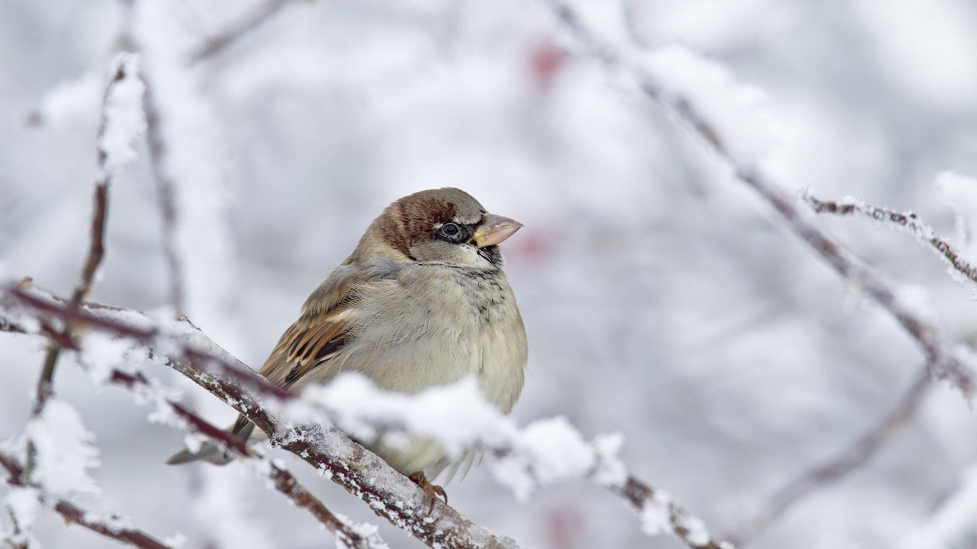 Фото: imago stock&people/globallookpress.com