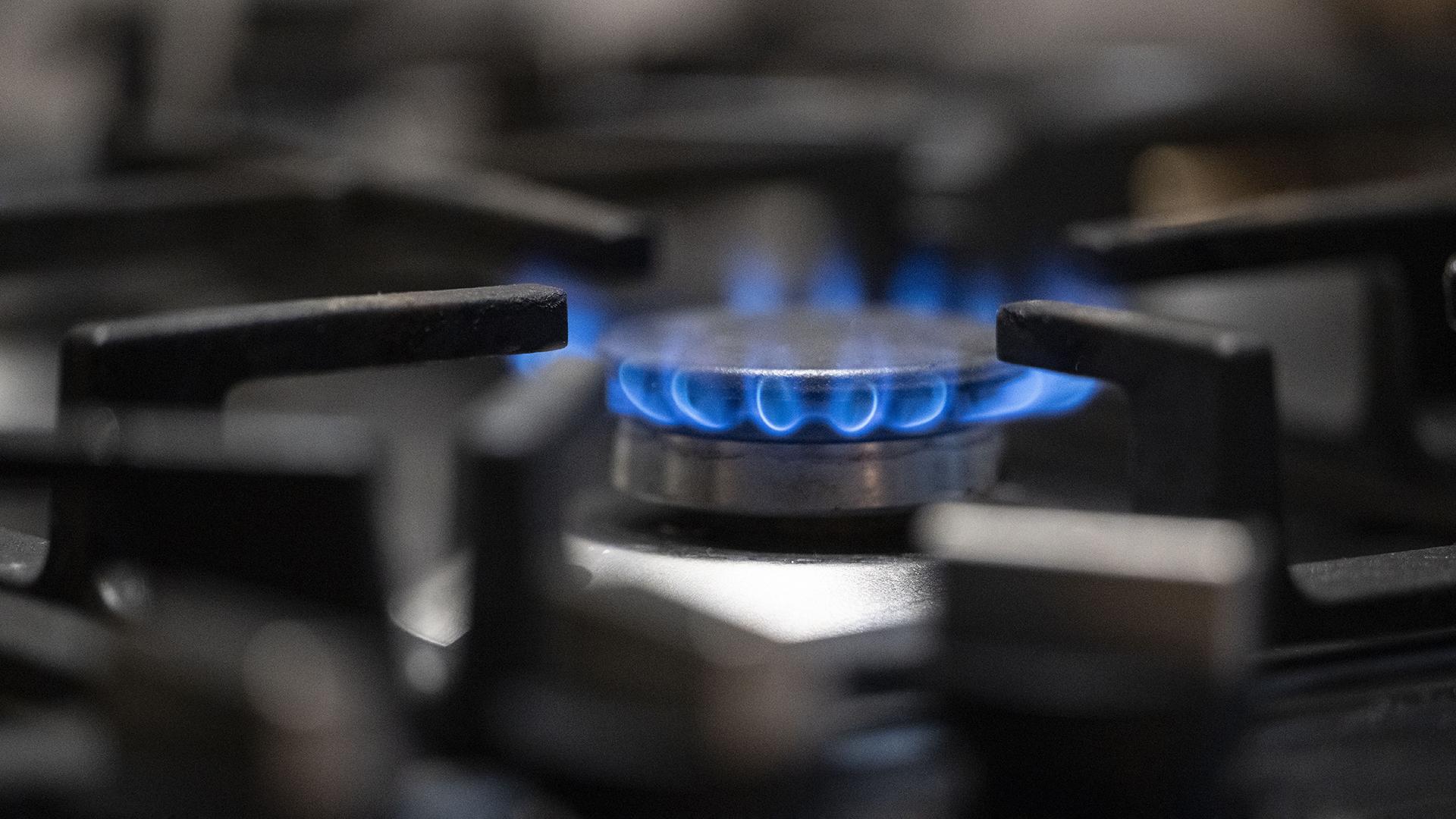 Фото: Marijan Murat/globallookpress.com