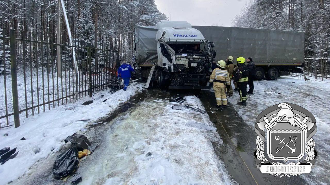 Фото: t.me/lenoblpozhspas