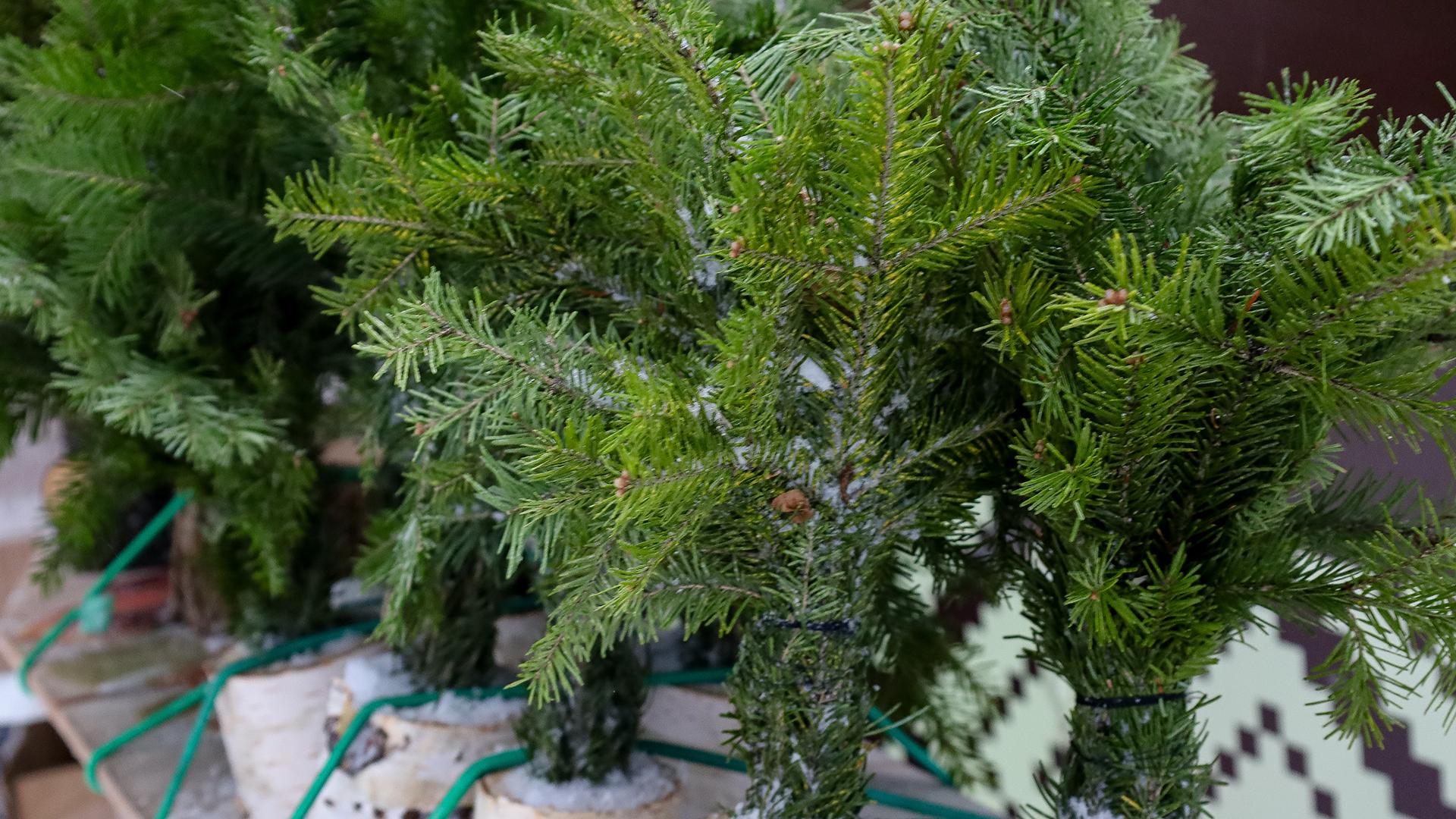 Фото: Elena Mayorova/globallookpress.com