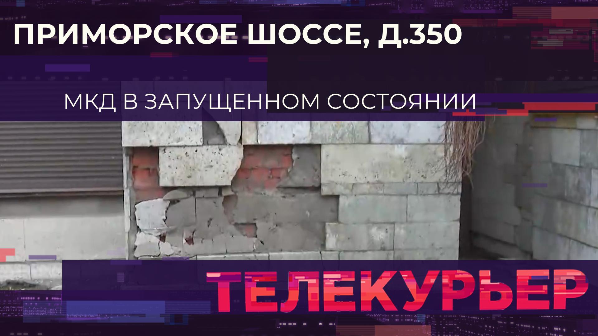 Телекурьер (24 декабря 2025)