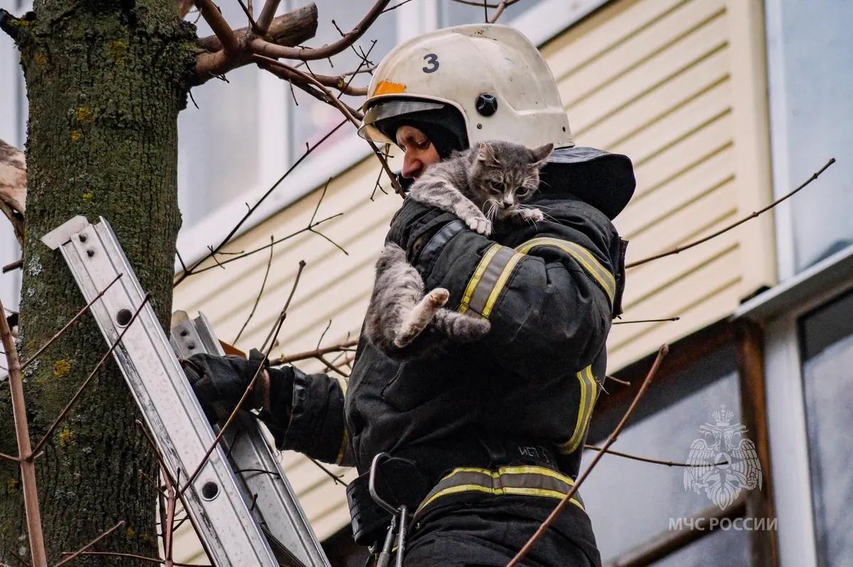 Фото: ГУ МЧС России по Ивановской област