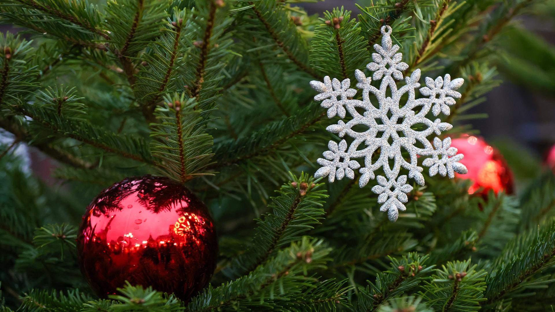 Фото: Shatokhina Natalia/globallookpress.com