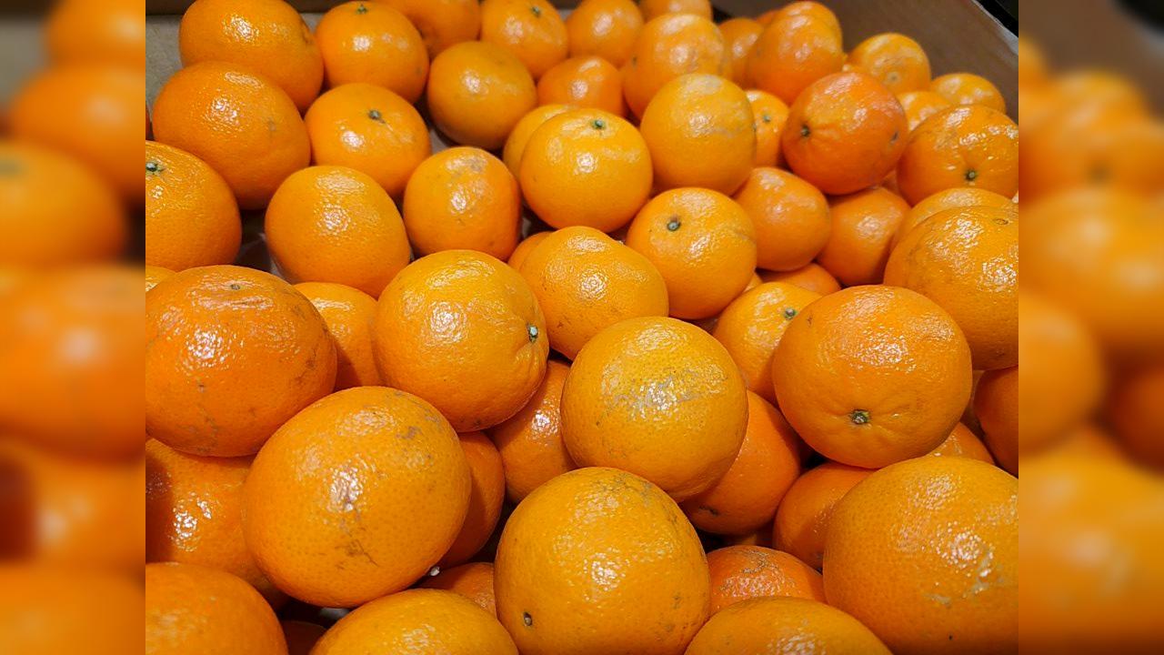 Фото: Maksim Konstantinov/globallookpress.com