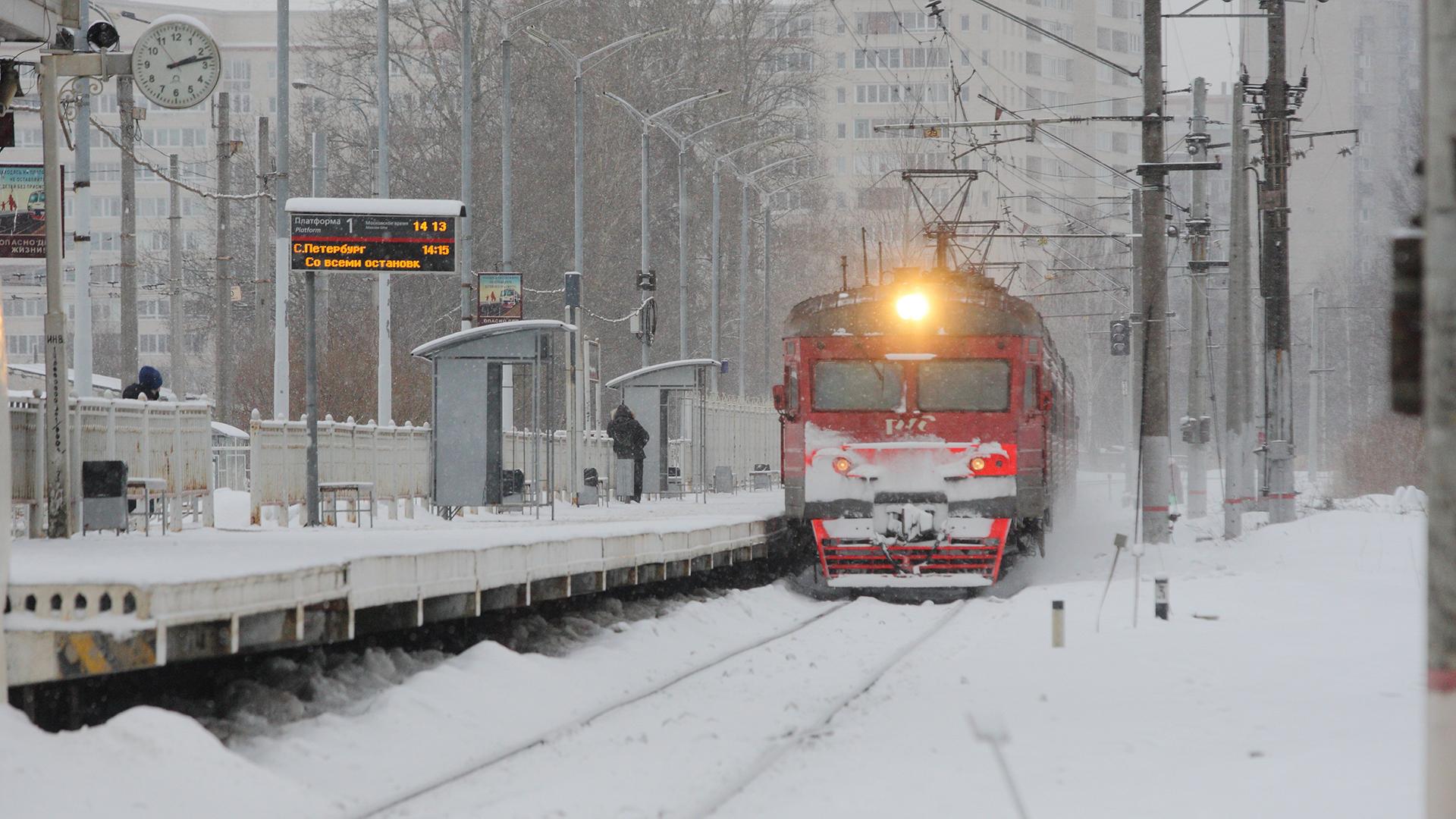 Фото: Zamir Usmanov/globallookpress.com