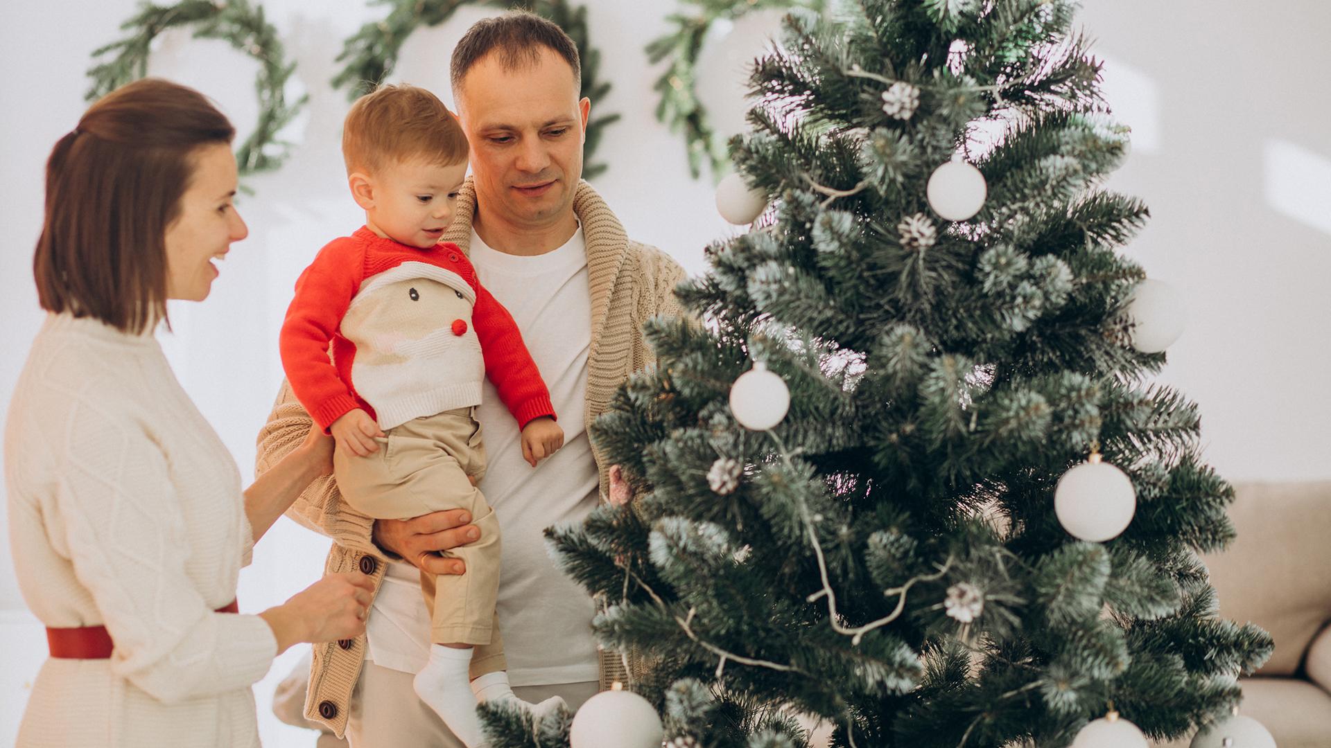 Фото: freepik.com/senivpetro