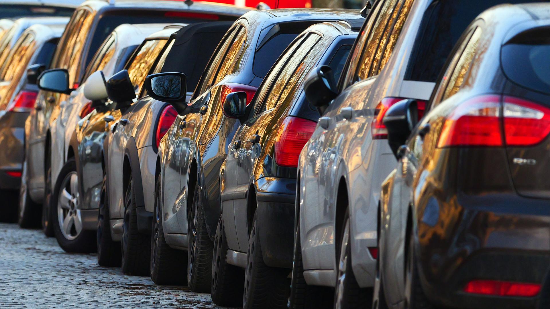 Фото: Wolfram Steinberg/globallookpress.com