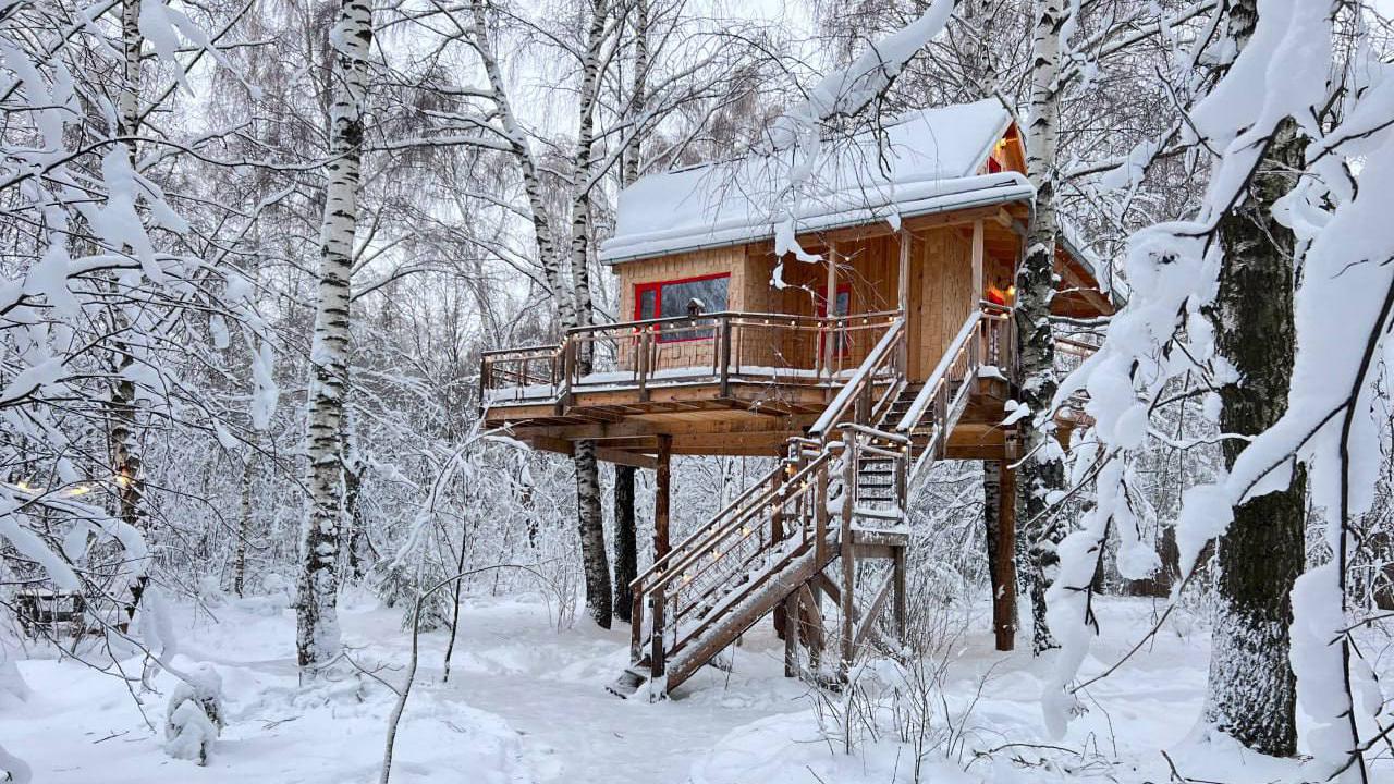 Фото: t.me/lapochkino_gnezdo