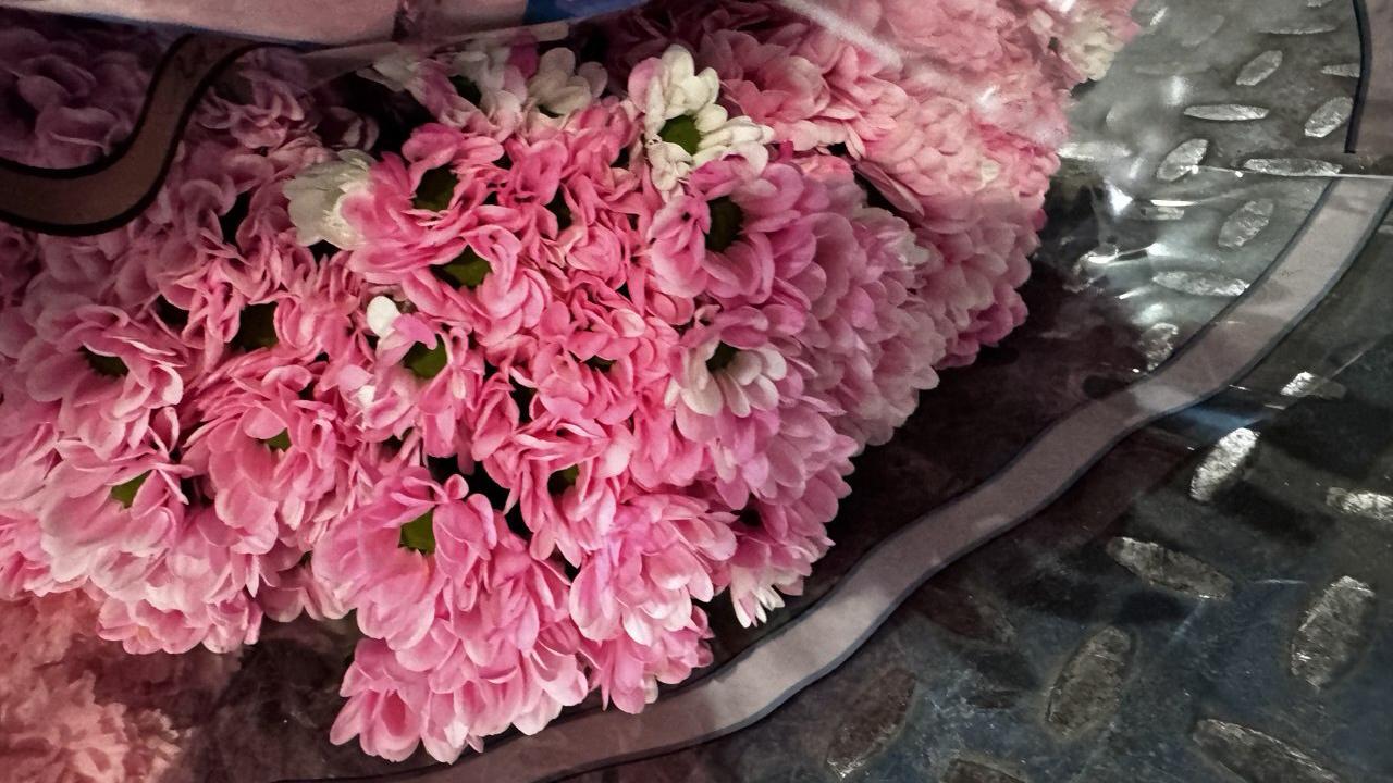 Фото: пресс-служба Северо-Западного межрегионального управления Россельхознадзора