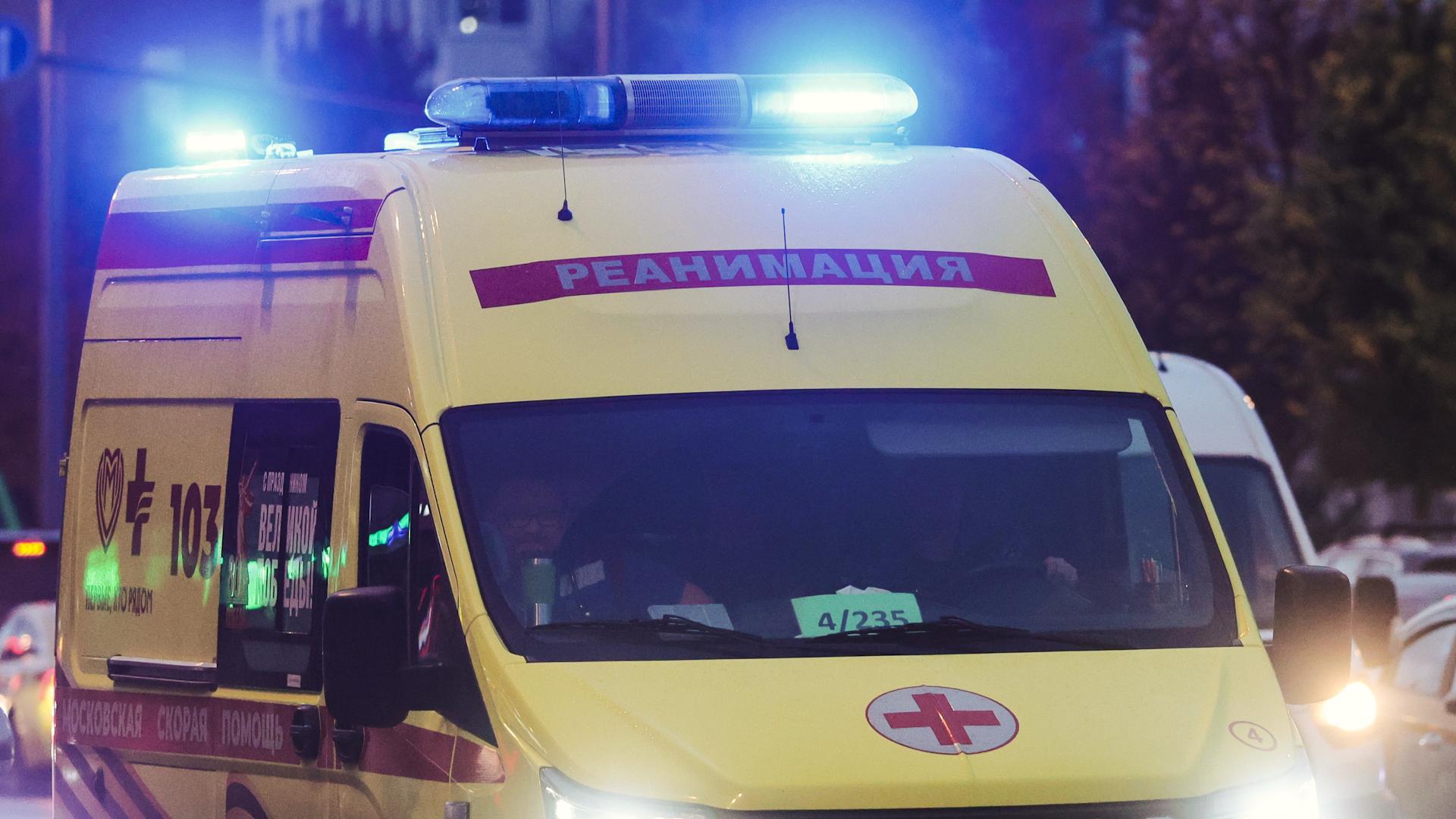 Фото: Shatokhina Natalia/news.ru