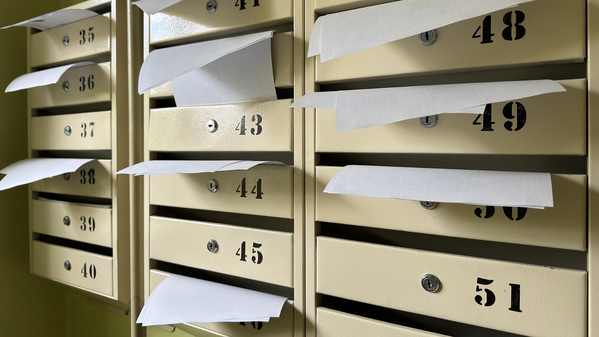 Фото: Alexander Legky/globallookpress.com