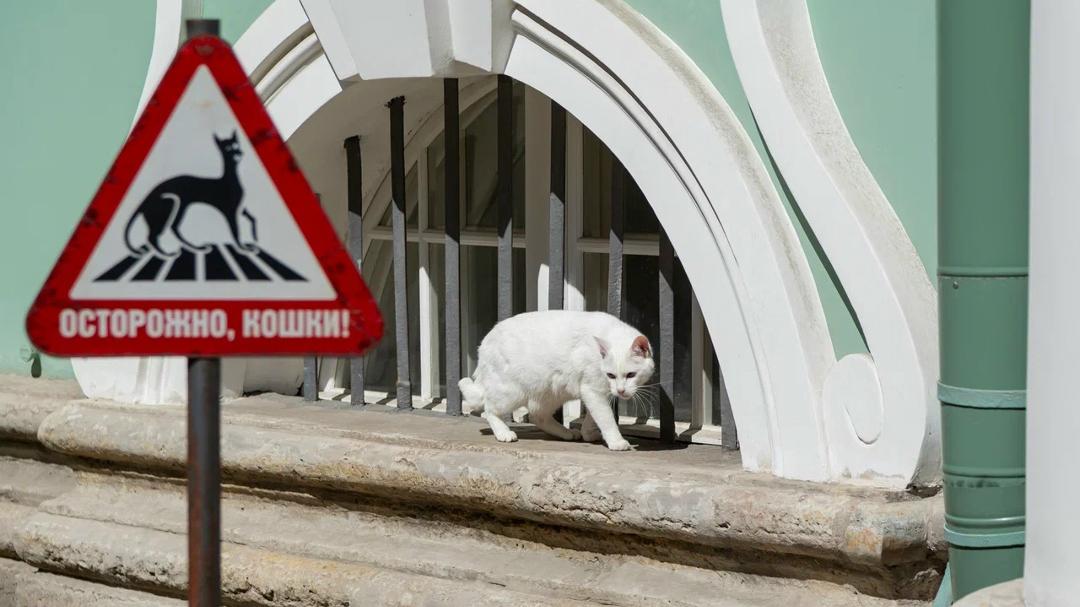 Фото: vk.com/hermitage_museum